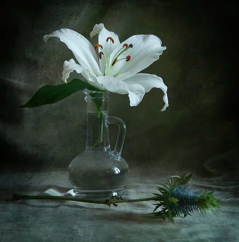 Лилия и чертополох фото превью