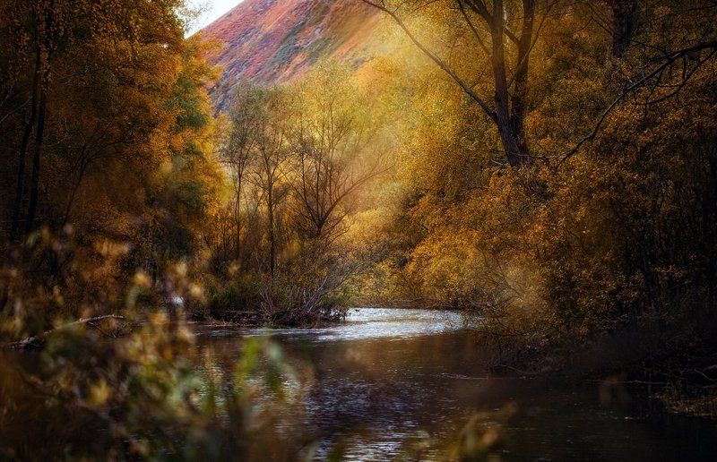 Бегущая по осени фото превью