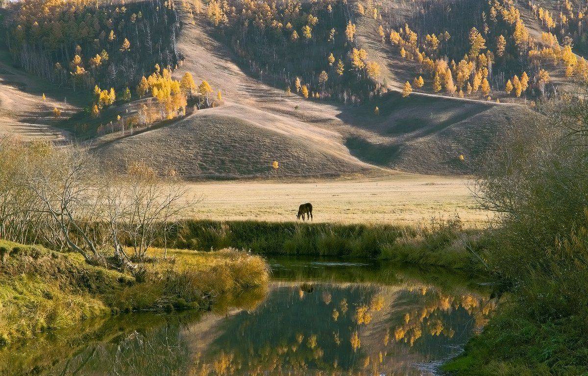 , Николай Морский