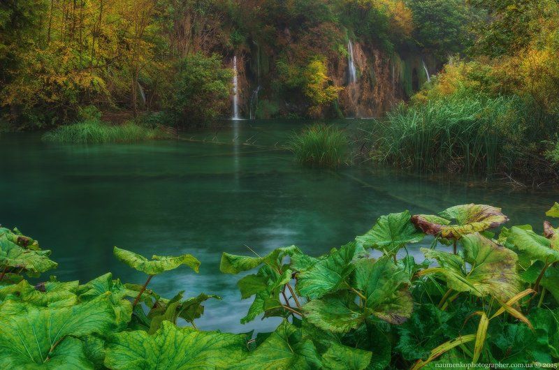 Хорватия. Плитвицкие озера. Осень на озерах. фото превью