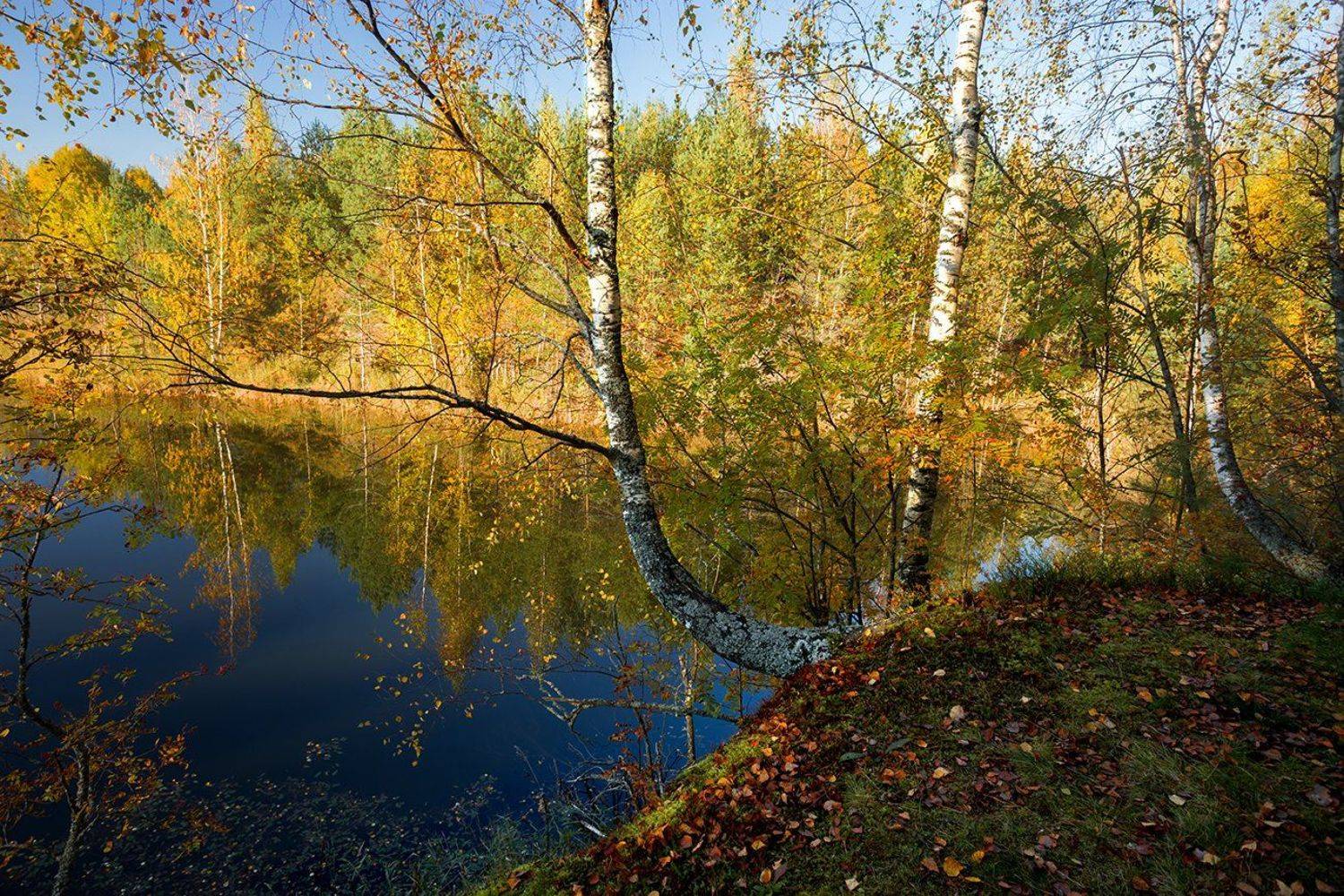 , Анна Кудрявцева