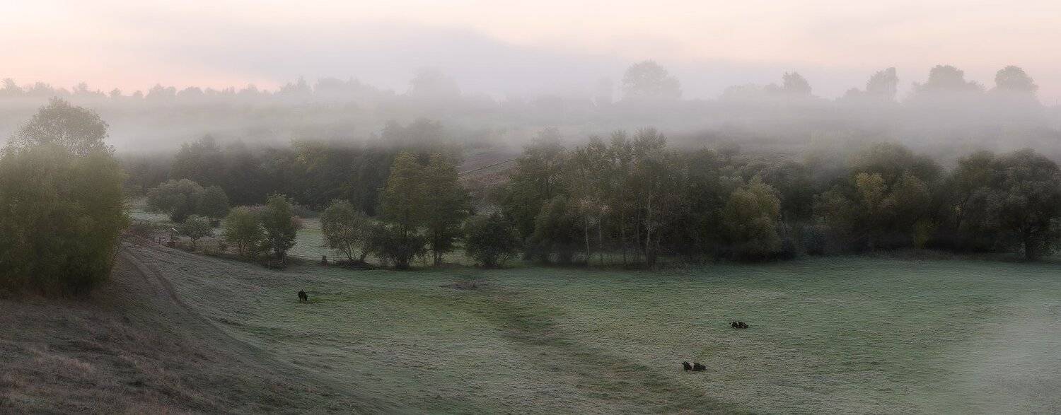 , Сергей Добровольский
