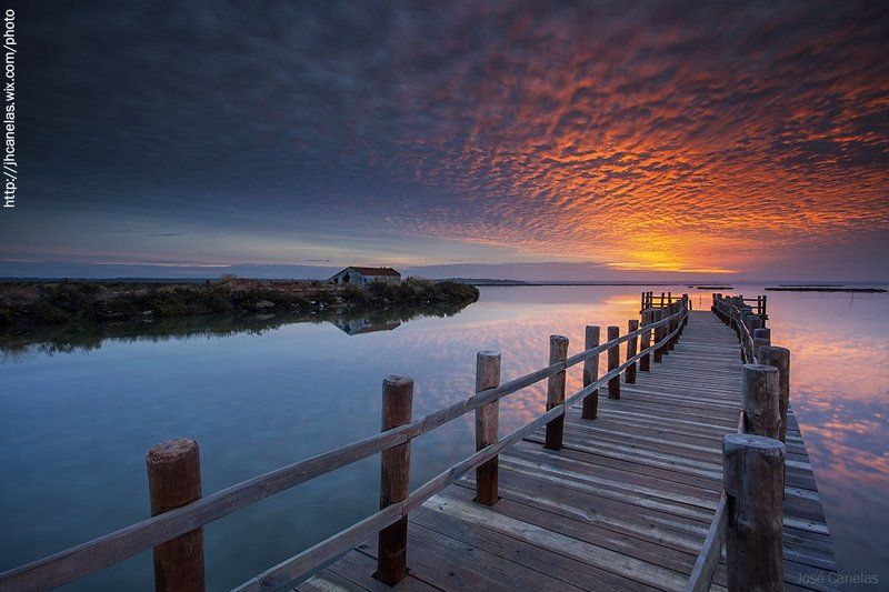 Portugal   Portugal - Mourisca - Setúbal фото превью