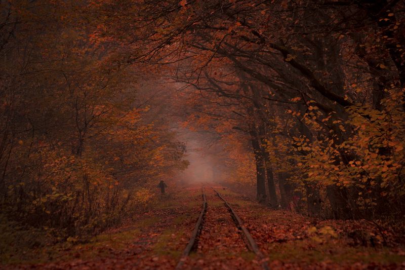 Closed railway line фото превью