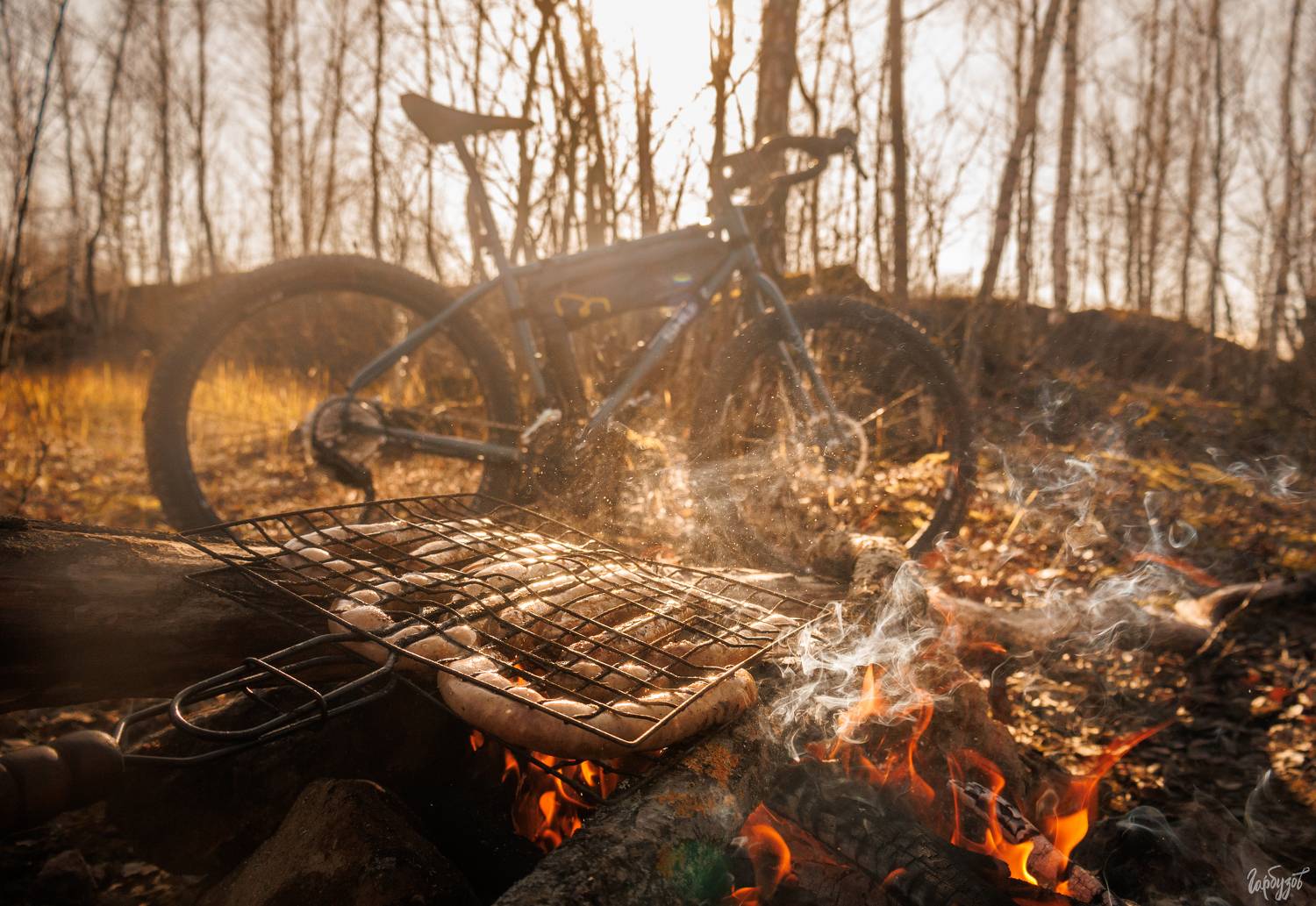 , Гарбузов Илья