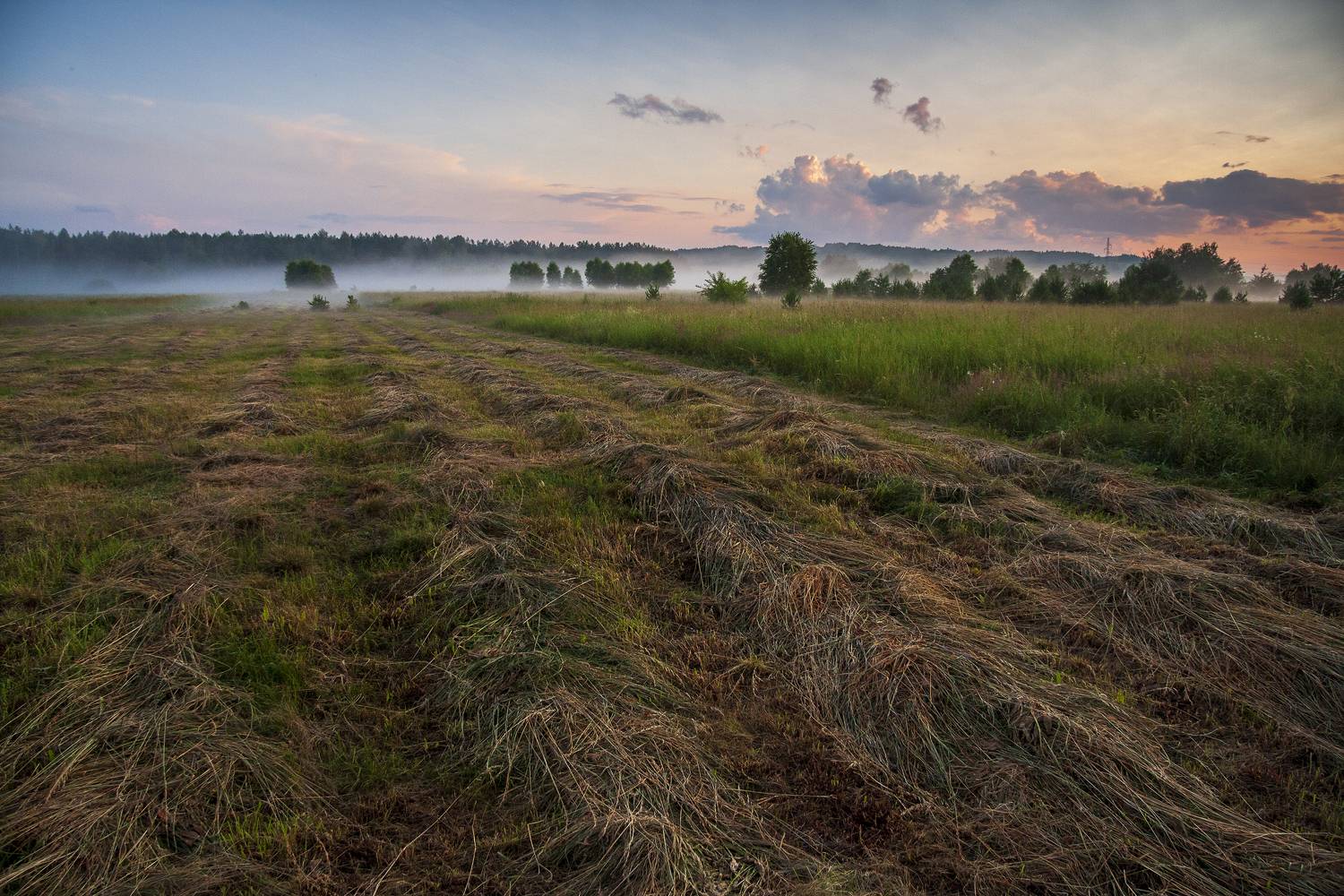 roztocze, poland,  Gregor