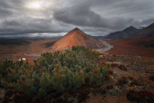 Якутский пасмурняк