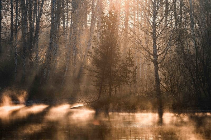 Оранжевое настроение…. Orange mood… фото превью