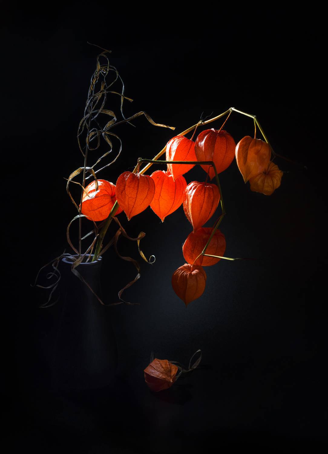 , Хвойнова Елена