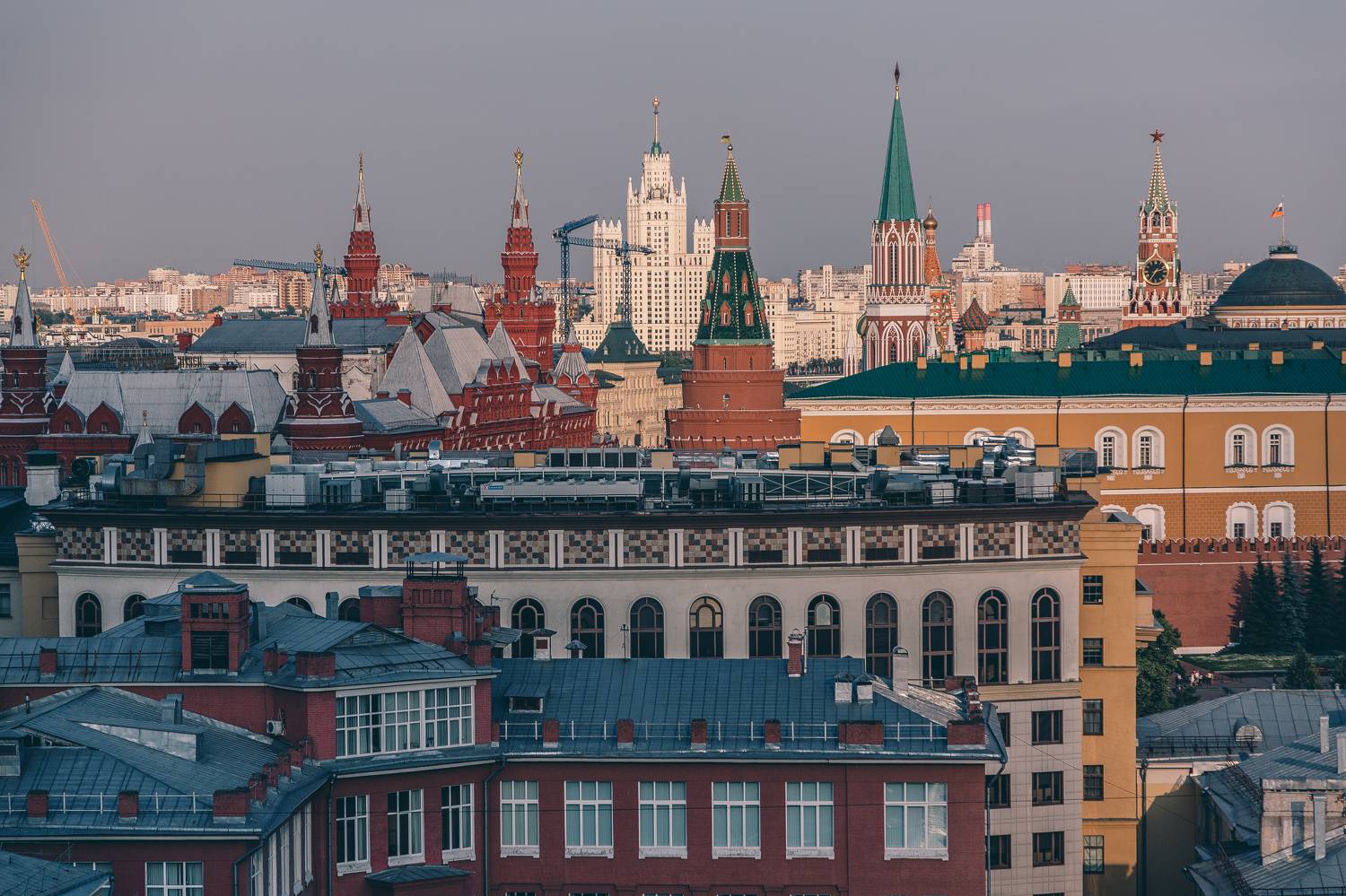 , Трепольский Дмитрий