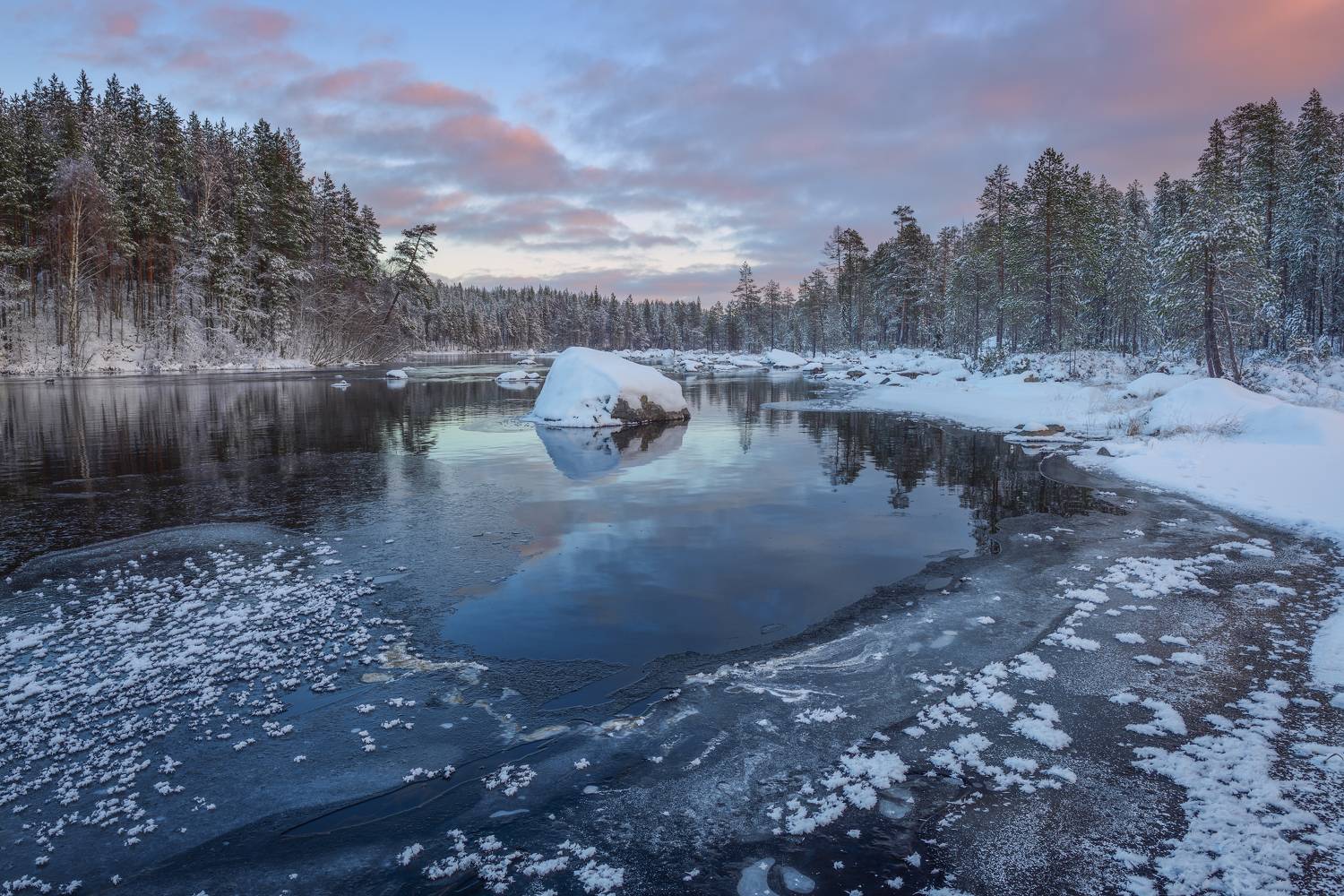 , Максим Евдокимов