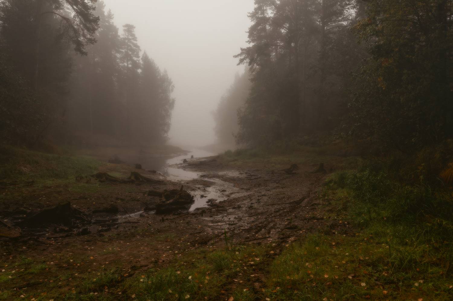 , Васенков Геннадий