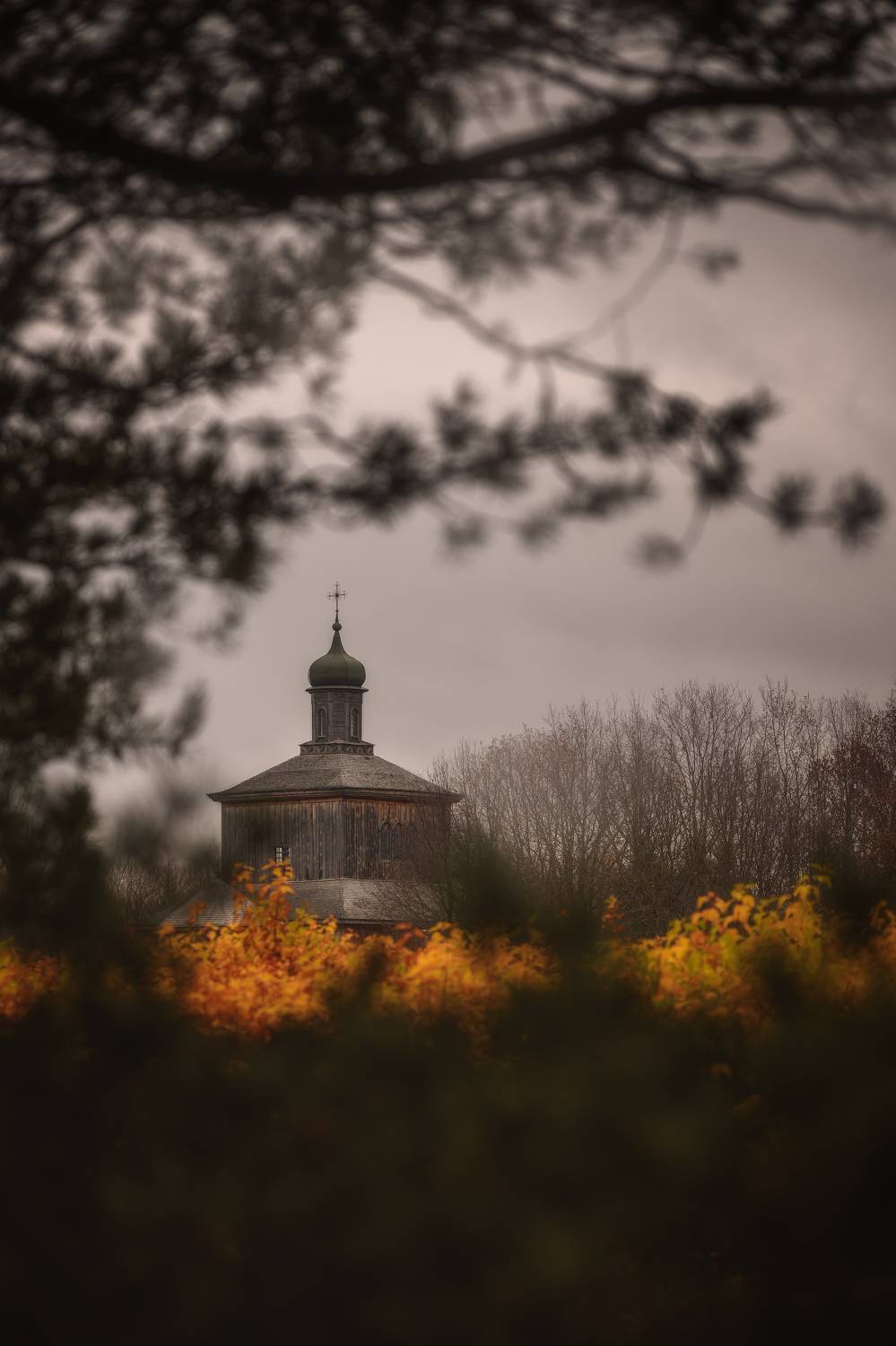 , Павел Тимошенко