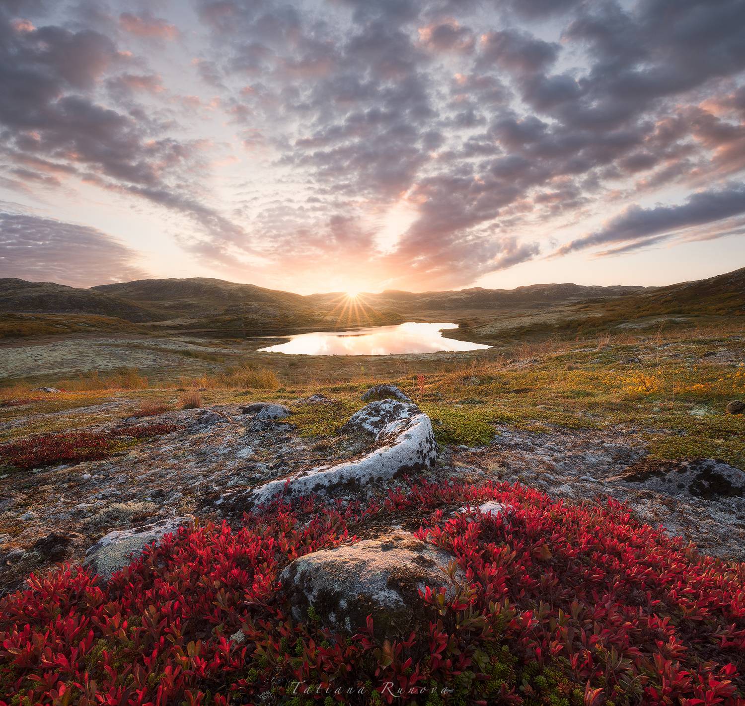 , Рунова Татьяна