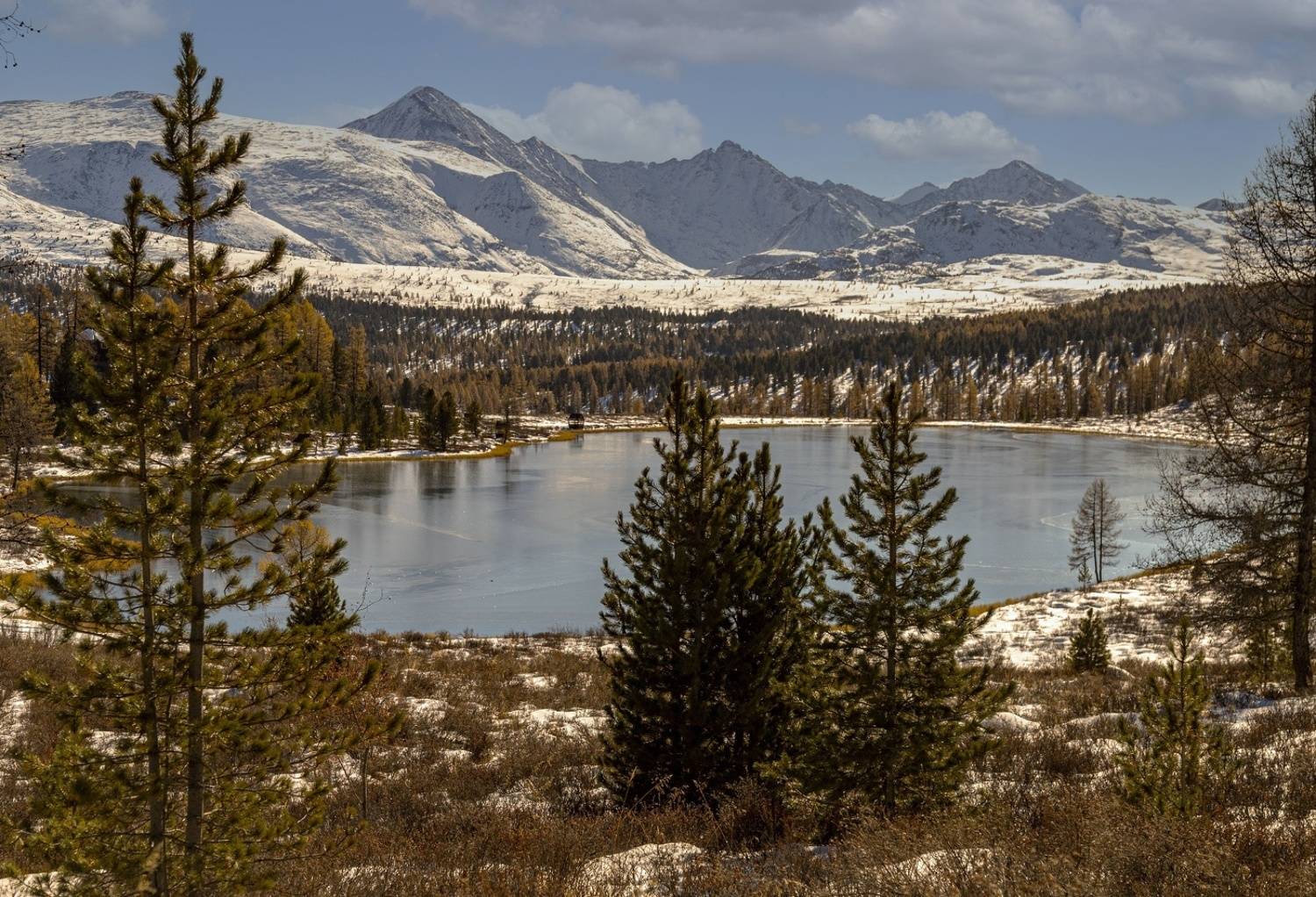 , Каверин Владимир