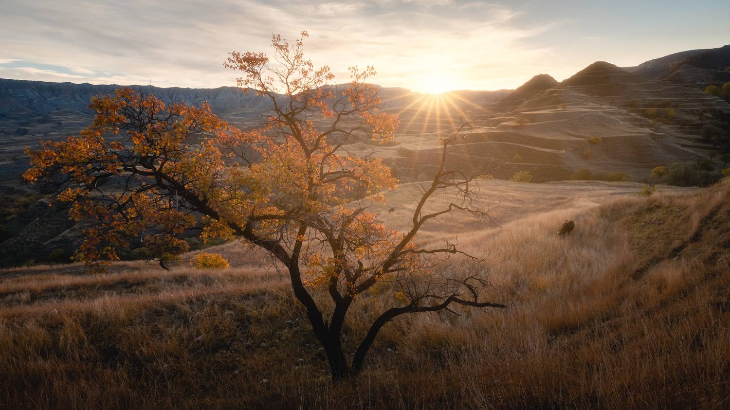 дагестан, Александр Писарев