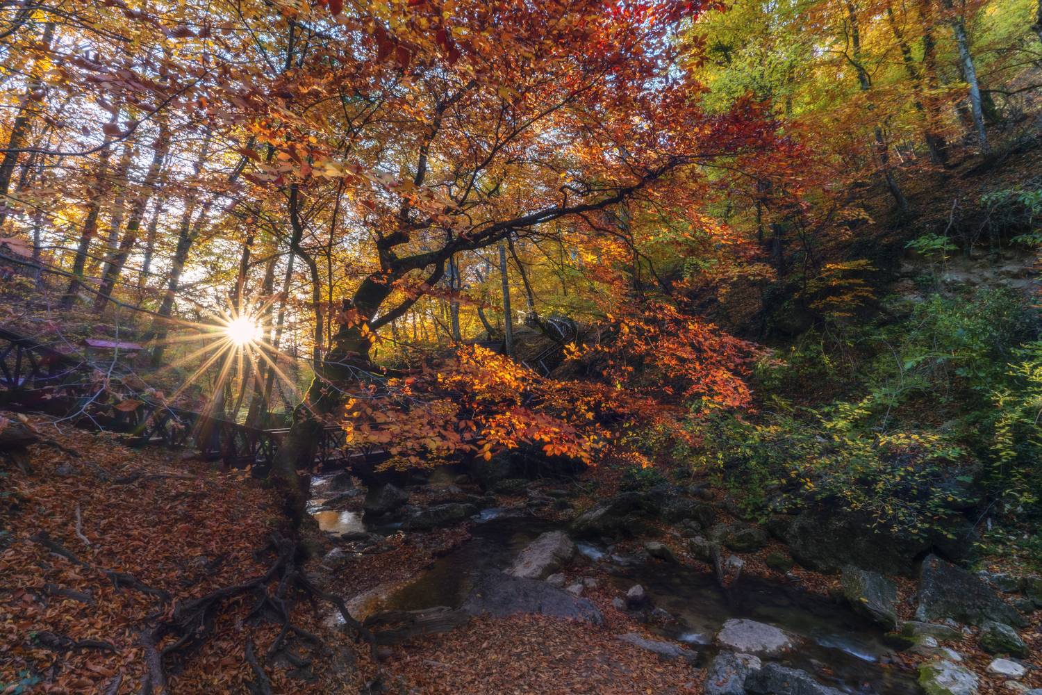 , Юлия Мальцева