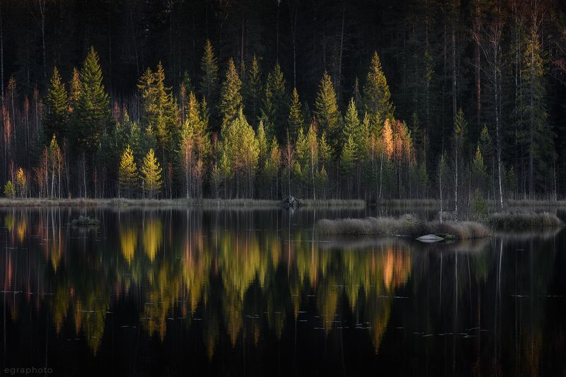 ленинградская область, выборгский район, карельский перешеек, россия Прощальный взгляд на осень фото превью