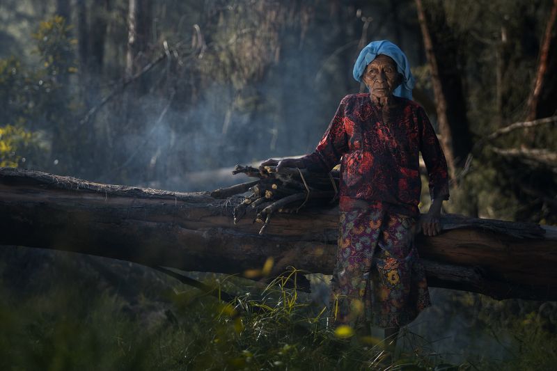 human interest, daily life, golden light, elderly man, rooster Ageless Bond: Elderly Man and His Beloved Rooster фото превью