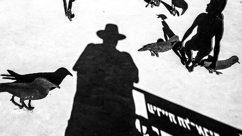 Street etude with my own shadow фото превью