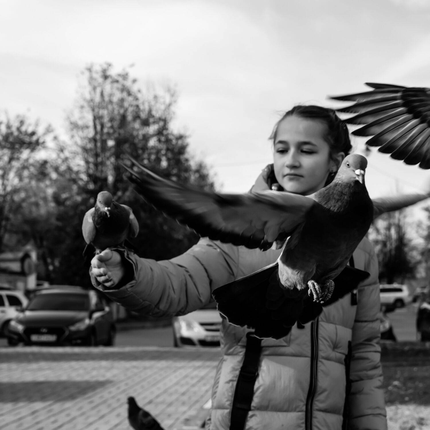 , Шилов Александр