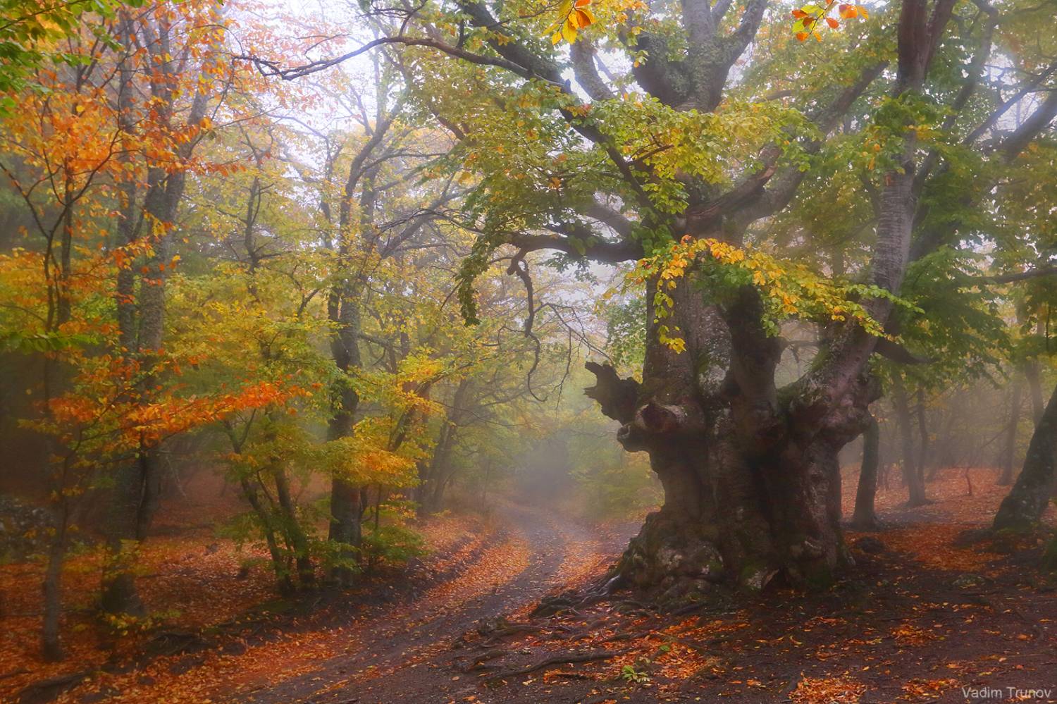 крым, демерджи, Вадим Трунов