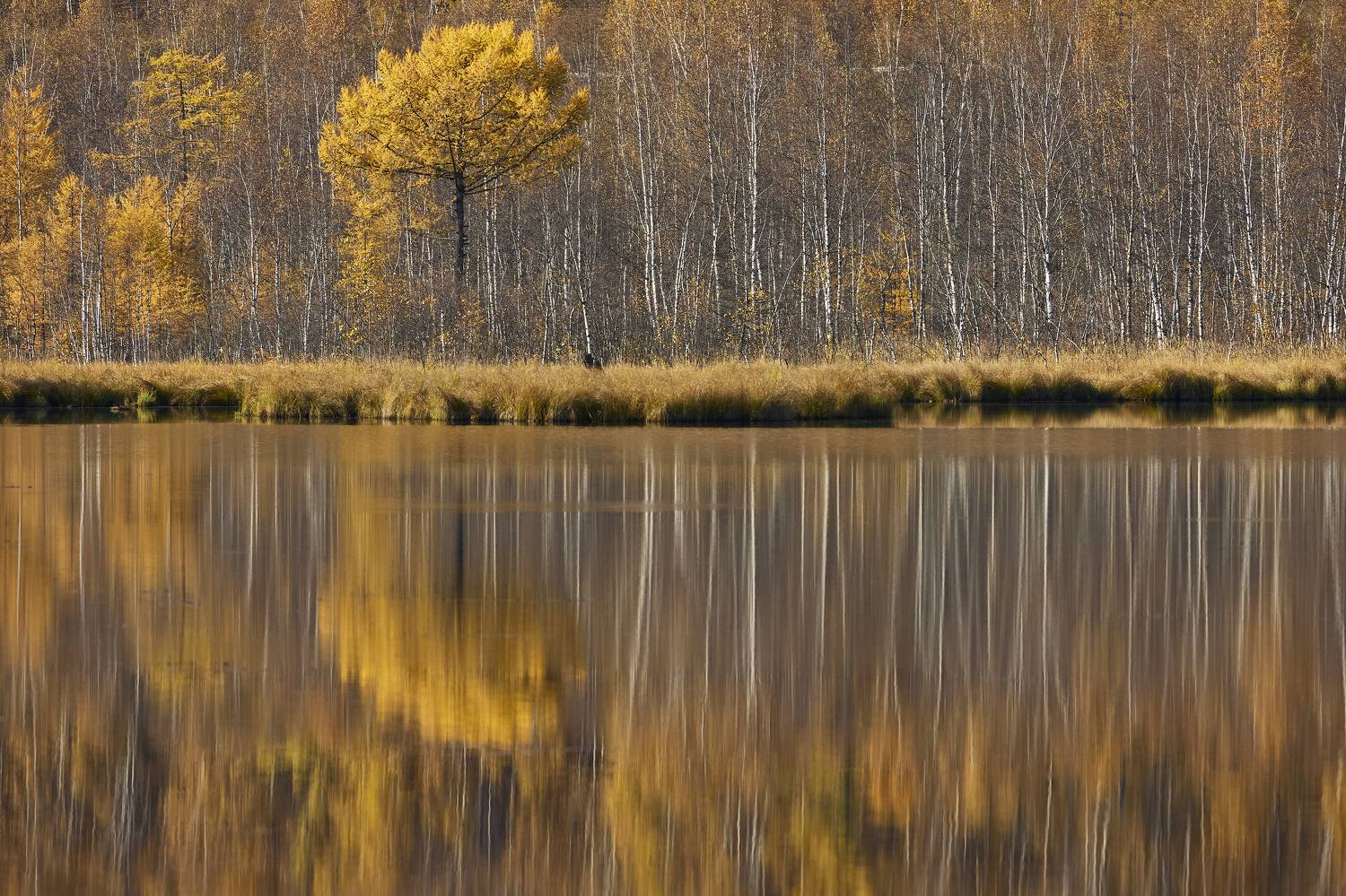 , Байбородин Михаил