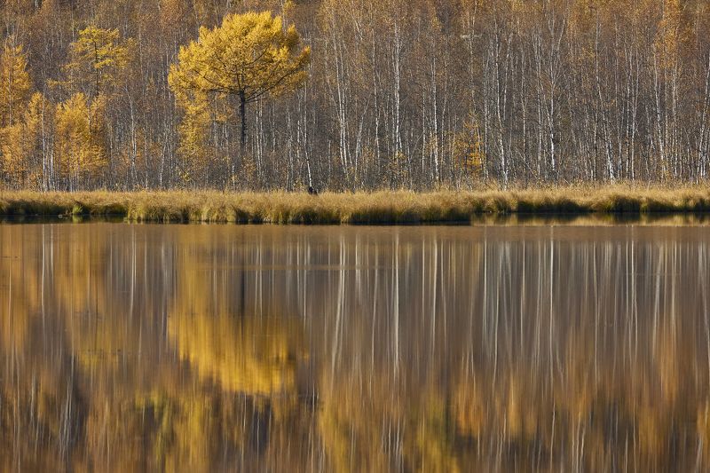 Осень фото превью