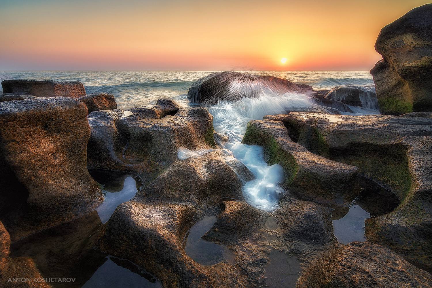 , Антон Кошетаров