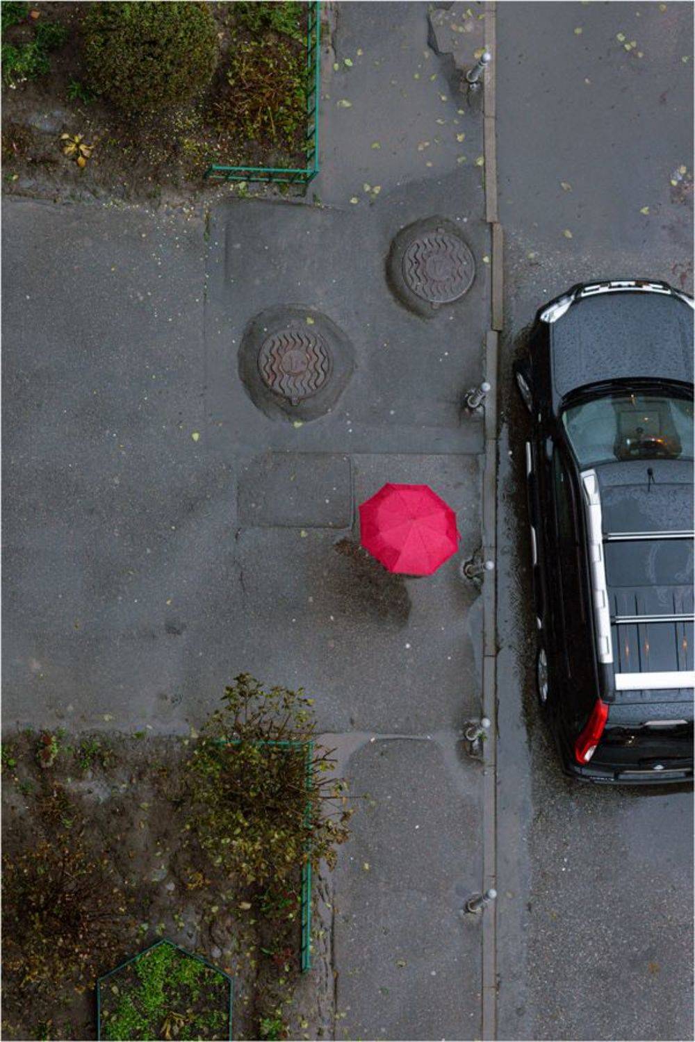 , Алексей Федотов