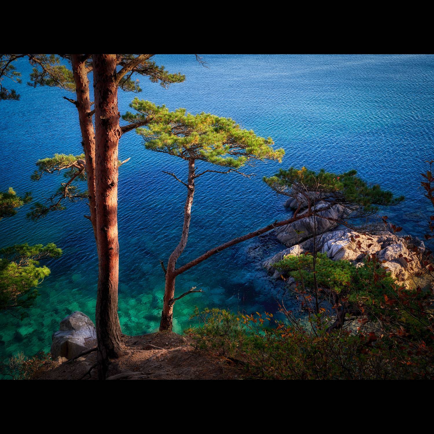 сосны, приморье, россия, приморский край, море, японское море, закат, кекур, природа, пейзаж, Ivan A. Godovikov