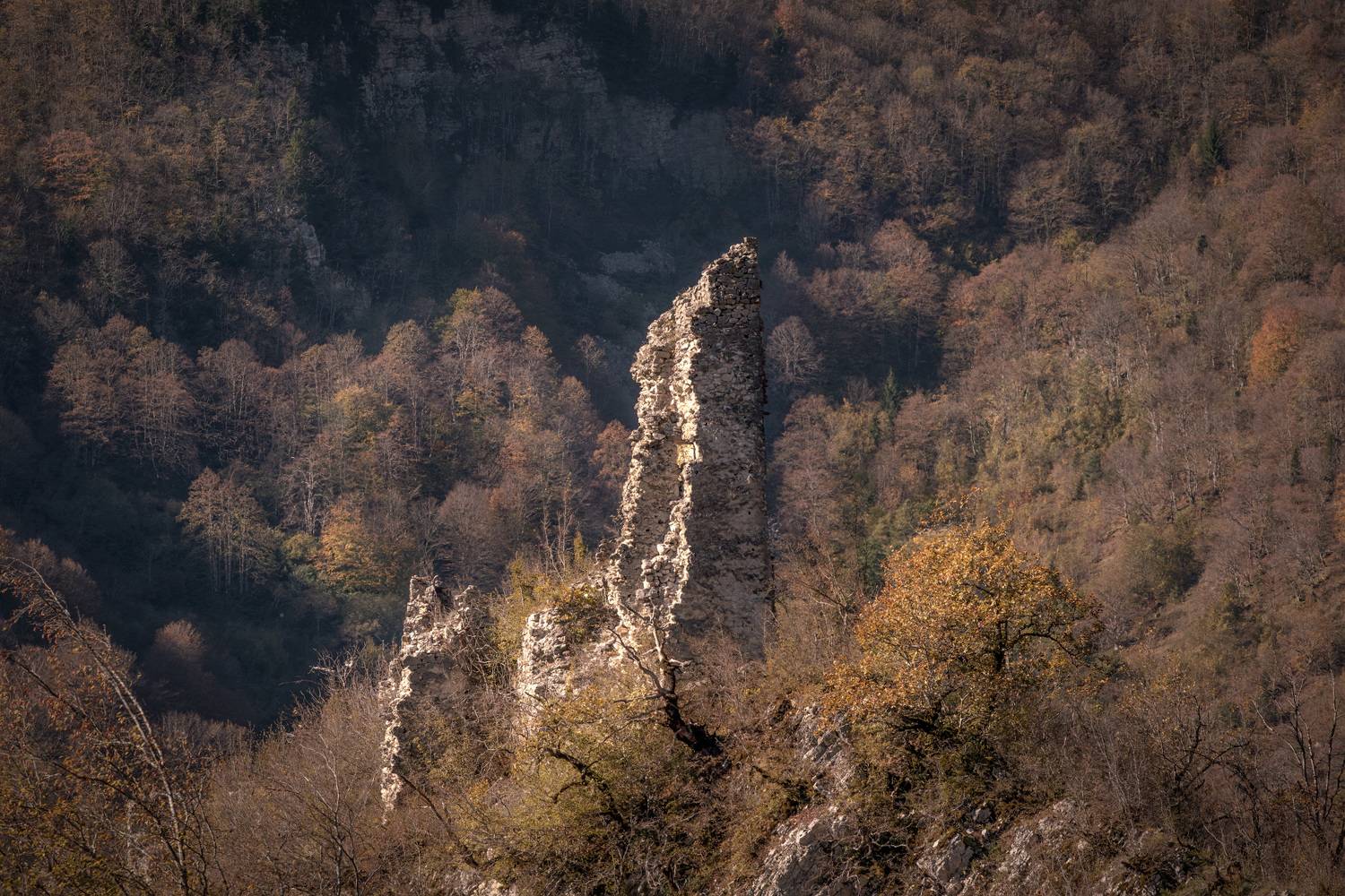 muri, fortress, ruins, mountains, autumn, trees, nature, landscape, scenery, travel, outdoors, georgia, svaneti, racha, sakartvelo, chizh, Чиж Андрей