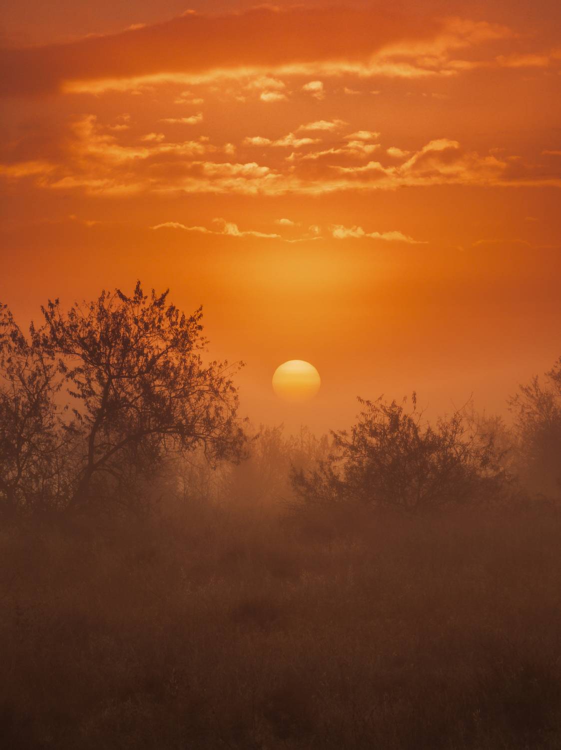 , Кривцов Андрей