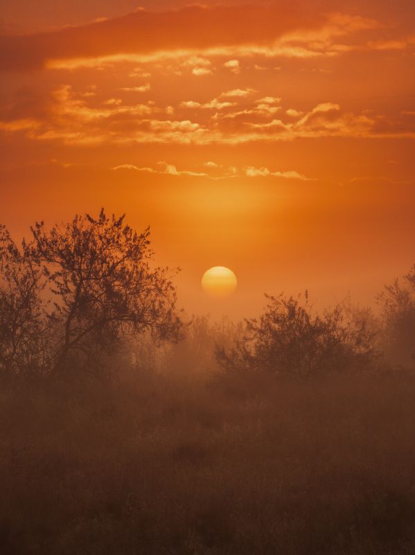 Туманный рассвет в Крыму фото превью