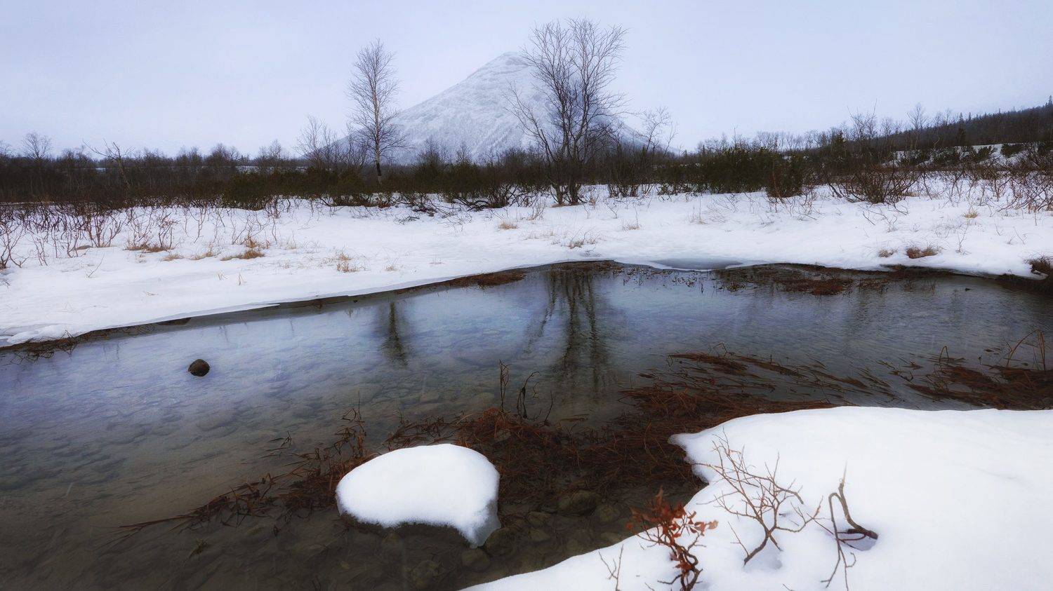 , ОЛЬГА КОВАЛЁВА
