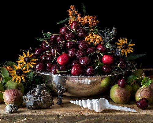 Still Life with Cherries and Ammonite