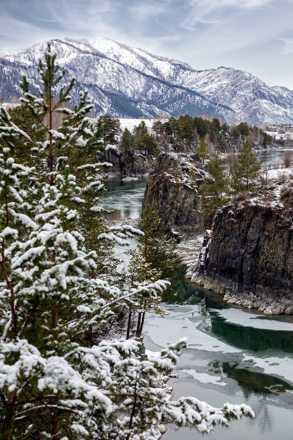 , Герц Дмитрий