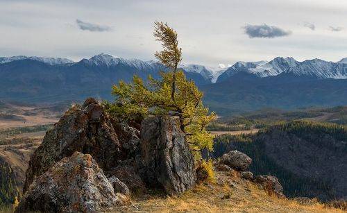 Алтайская осень