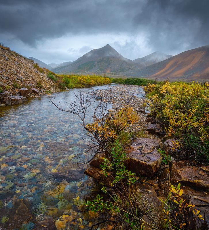 Чукотка 2023 фото превью