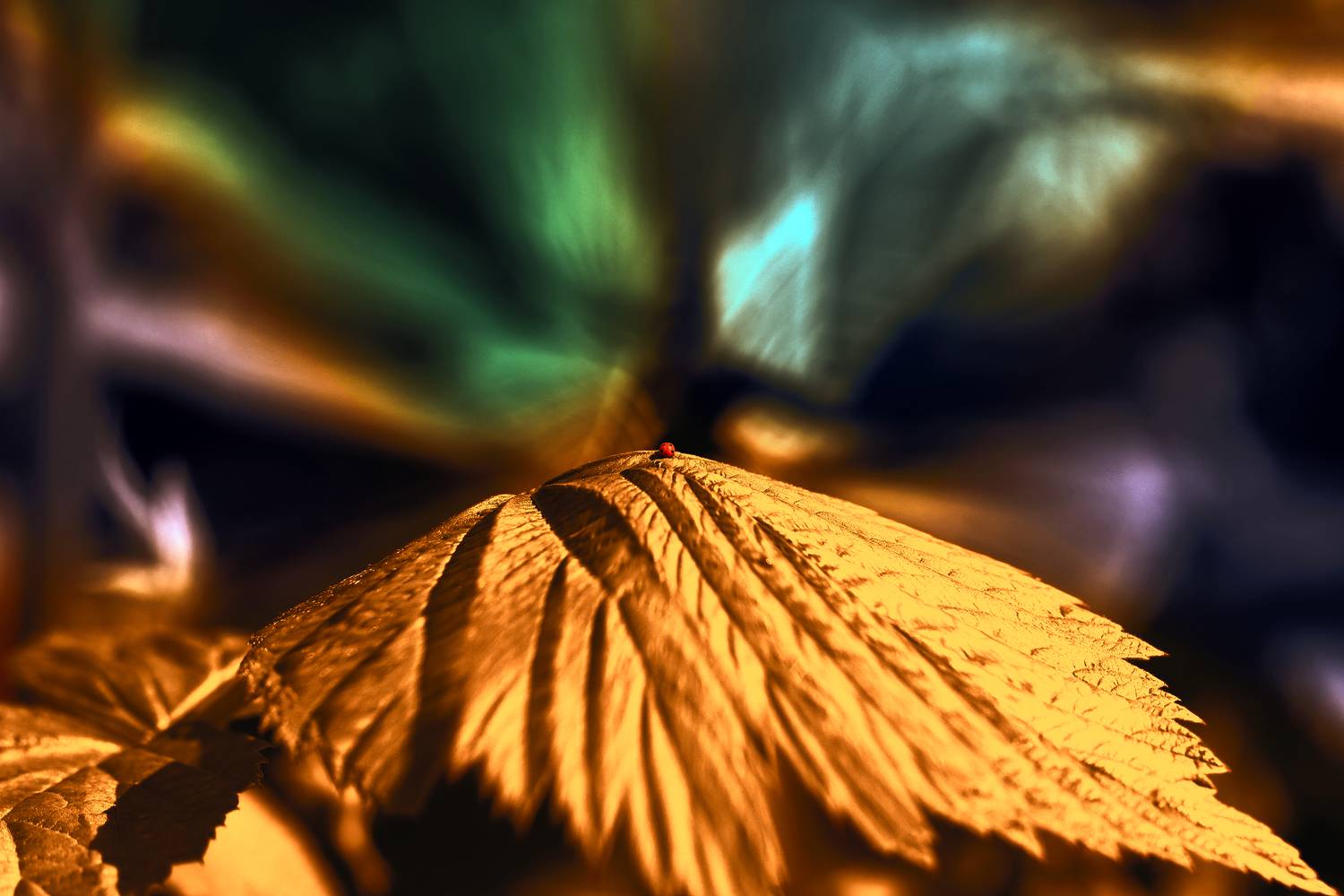 creative, креатив, манипуляция, концепция, цифровое, искусство, сияние, разум, digital, art, world, lights, radiance, mind, Дмитрий Салтыков