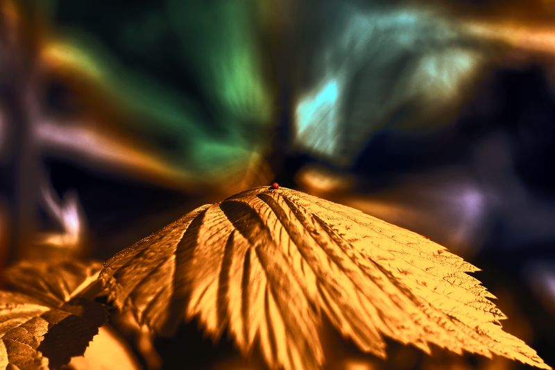 creative, креатив, манипуляция, концепция, цифровое, искусство, сияние, разум, digital, art, world, lights, radiance, mind Сияние... фото превью