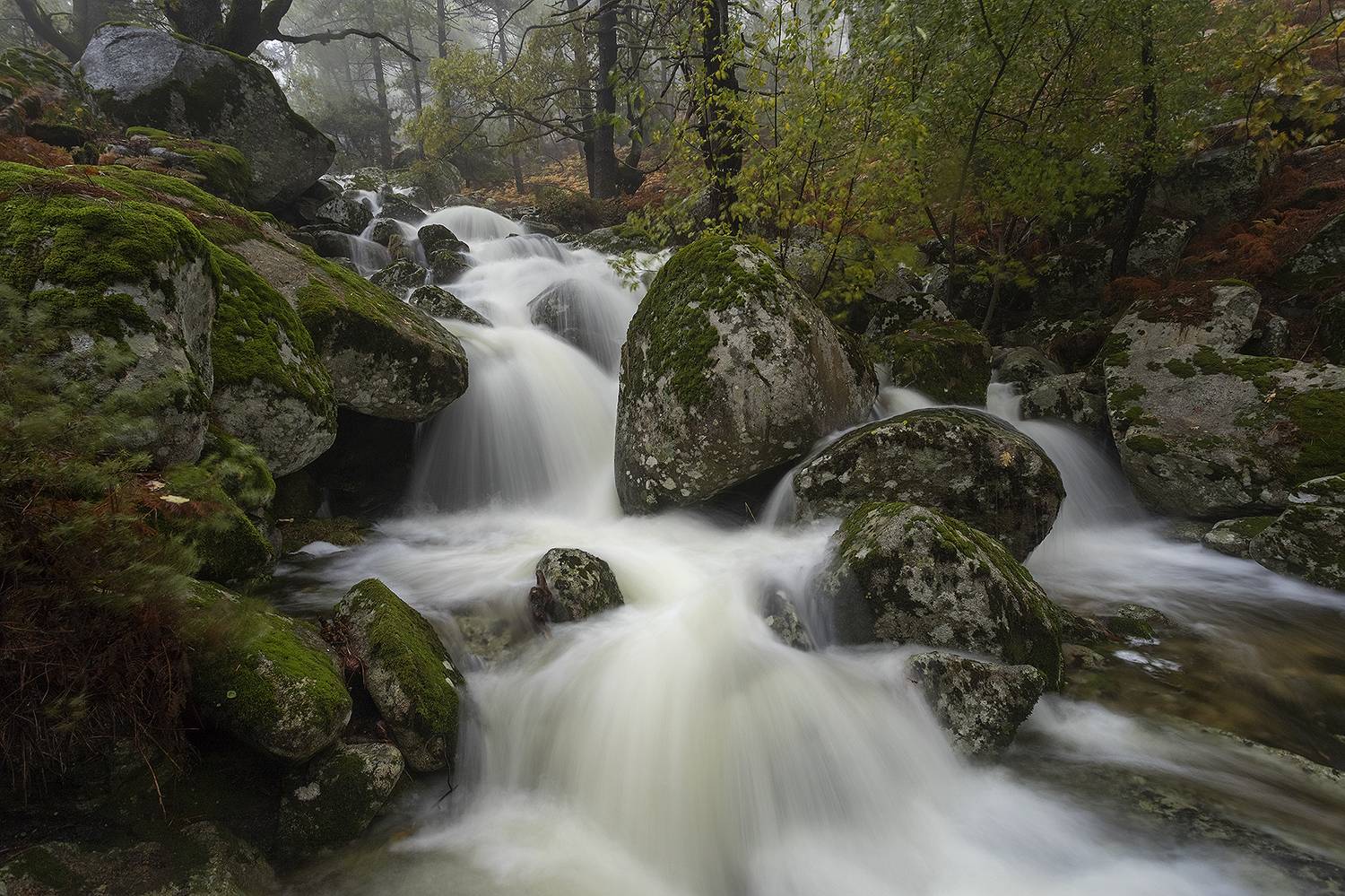 photography, mountain, autumn, fresh, landscape, photo, awakening, fog, land, landmark, lands, soft ligth, ligth, mountains, photo, river, jimenez millan samuel