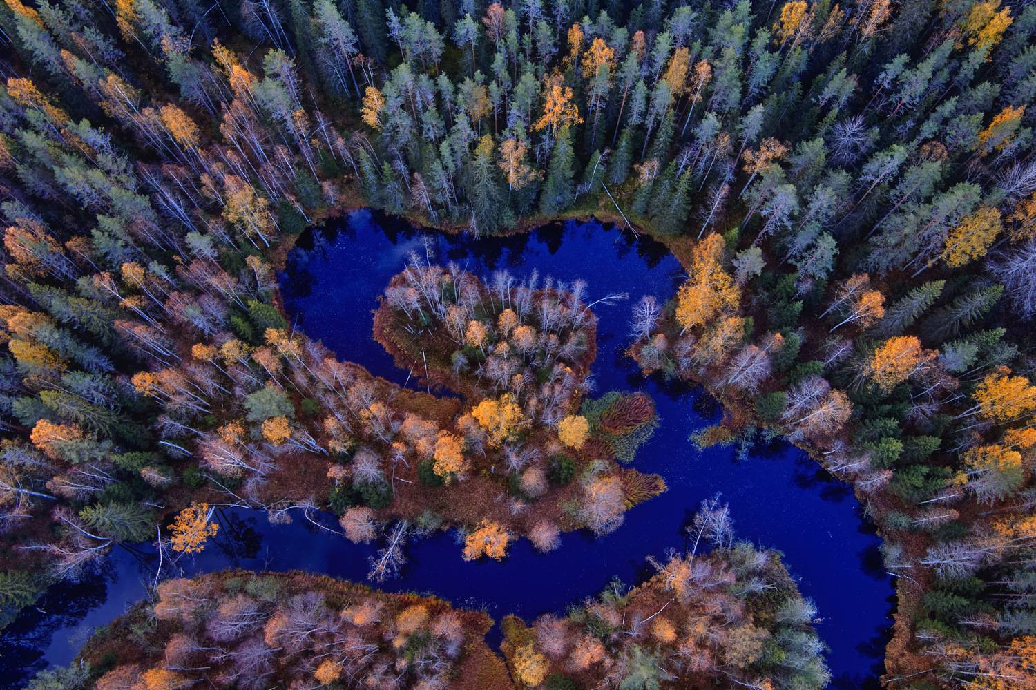 , Нуреев Камиль