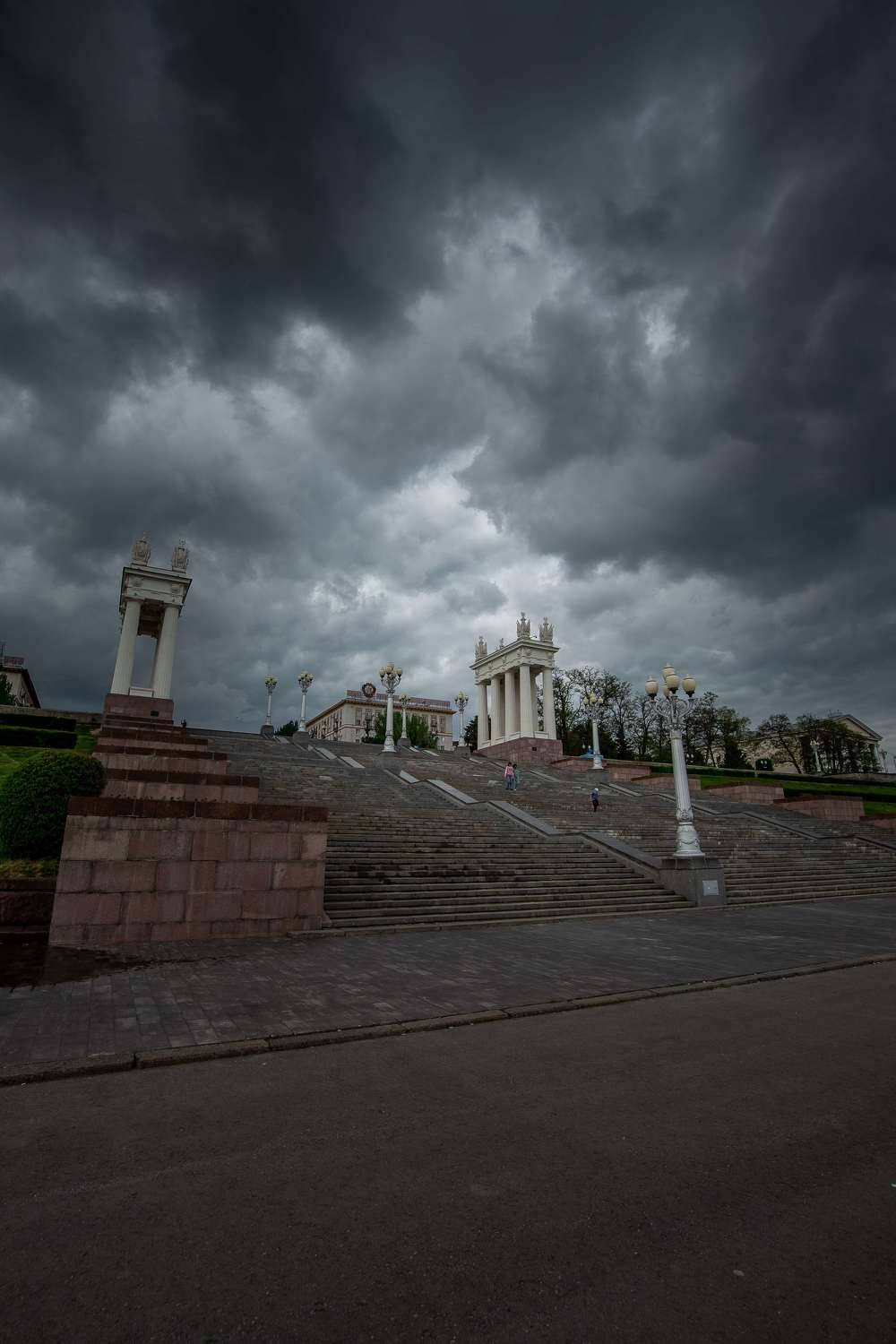 volgograd, russia, wildlife, , Сторчилов Павел