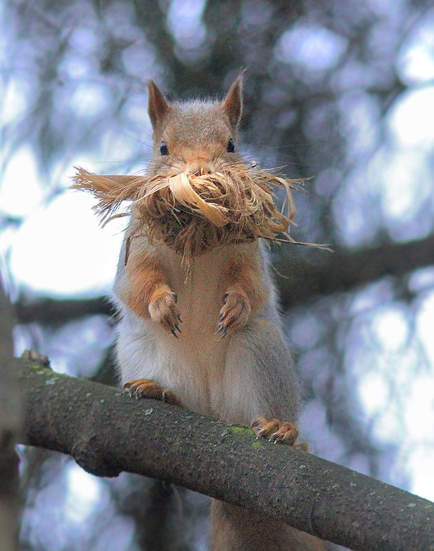 Утепляемся фото превью