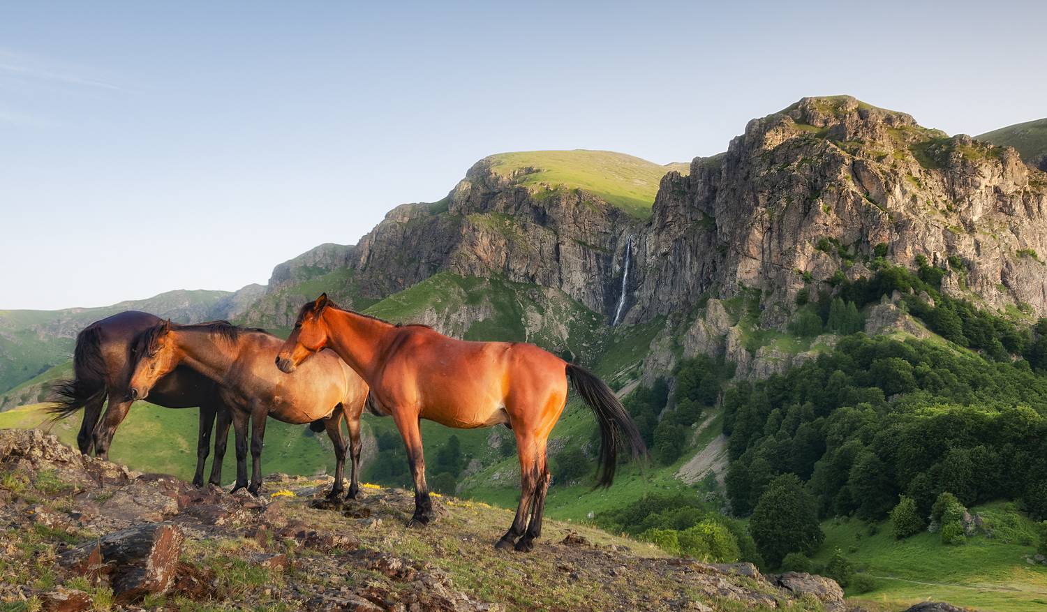 болгария, водопад, утро, вечер, закат, восход, лес, природа, кони, лошадь, природный парк, балканы, bulgaria, waterfall, sunset, sunrise, forest, morning, evening, wood, horse, national park, Эрнест Вахеди
