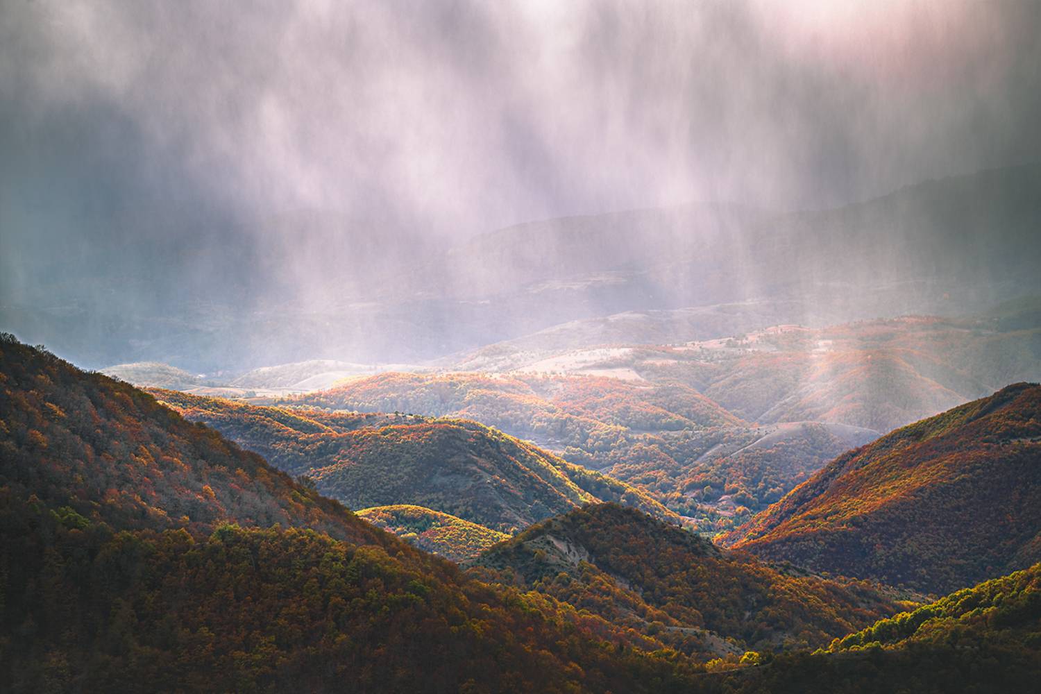 landscape, nature, scenery, forest, wood, trees, autumn, fall, colors, rain, mountain, rodopi, bulgaria, лес, Александров Александър