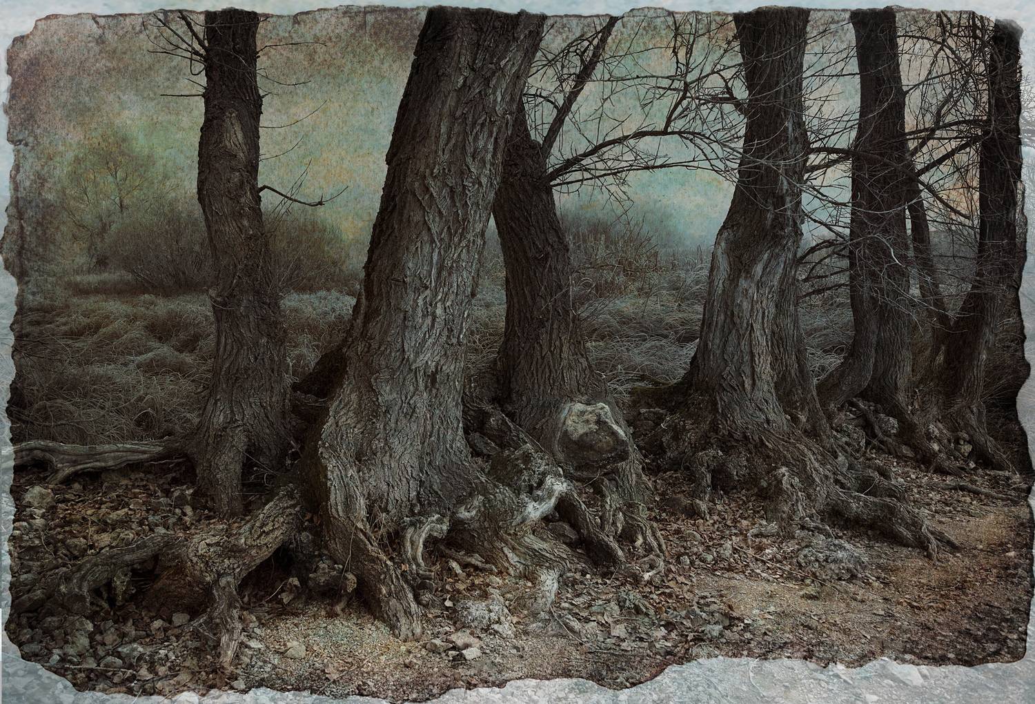 фото арт, Виктор Кириллов