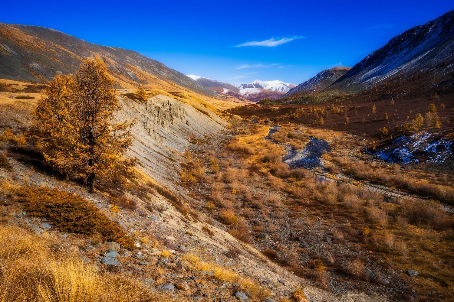 , Межин Сергей