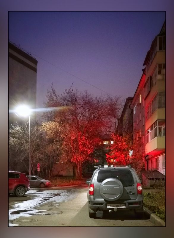 Ноябрьские краски фото превью